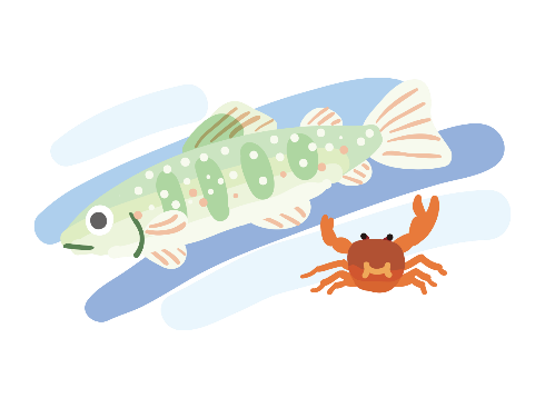 ヤマメとカニ